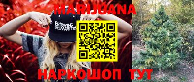 молекула духа Будённовск