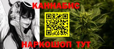 молекула духа Будённовск