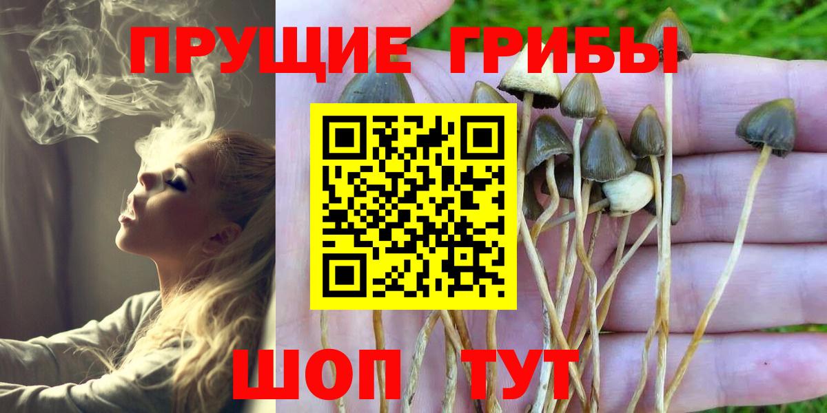 Псилоцибиновые грибы MAGIC MUSHROOMS Фролово