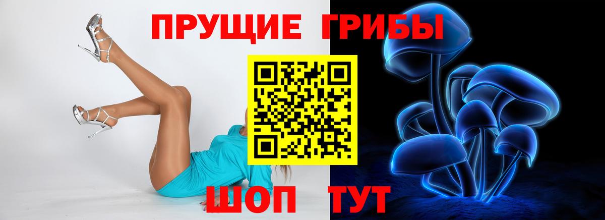 Галлюциногенные грибы мухоморы  Галлюциногенные грибы GOLDEN TEACHER  Фролово  Вход с VPN 